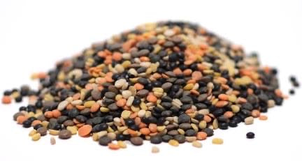 Mixed Lentils