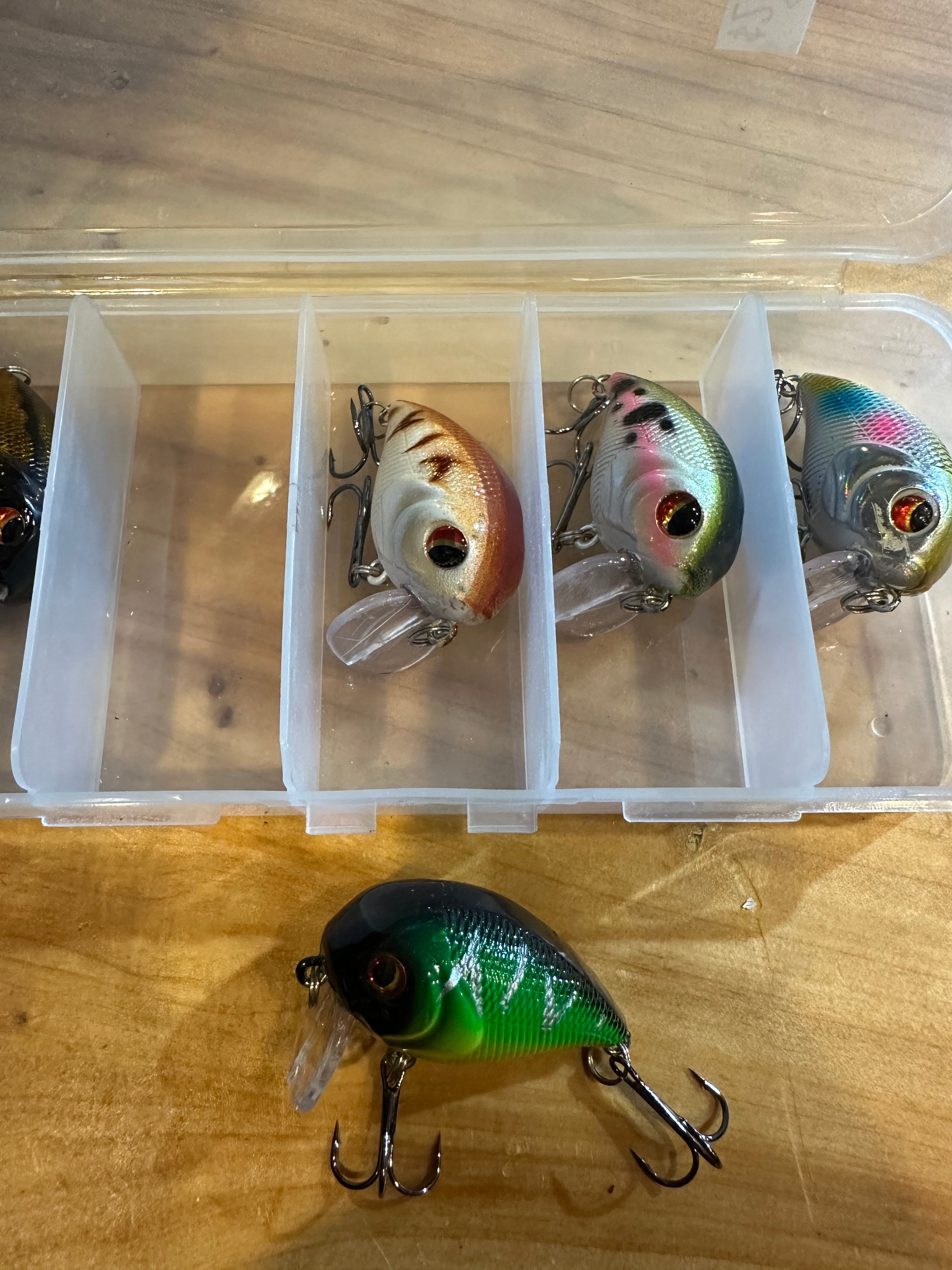 Top Water Fishing Lures